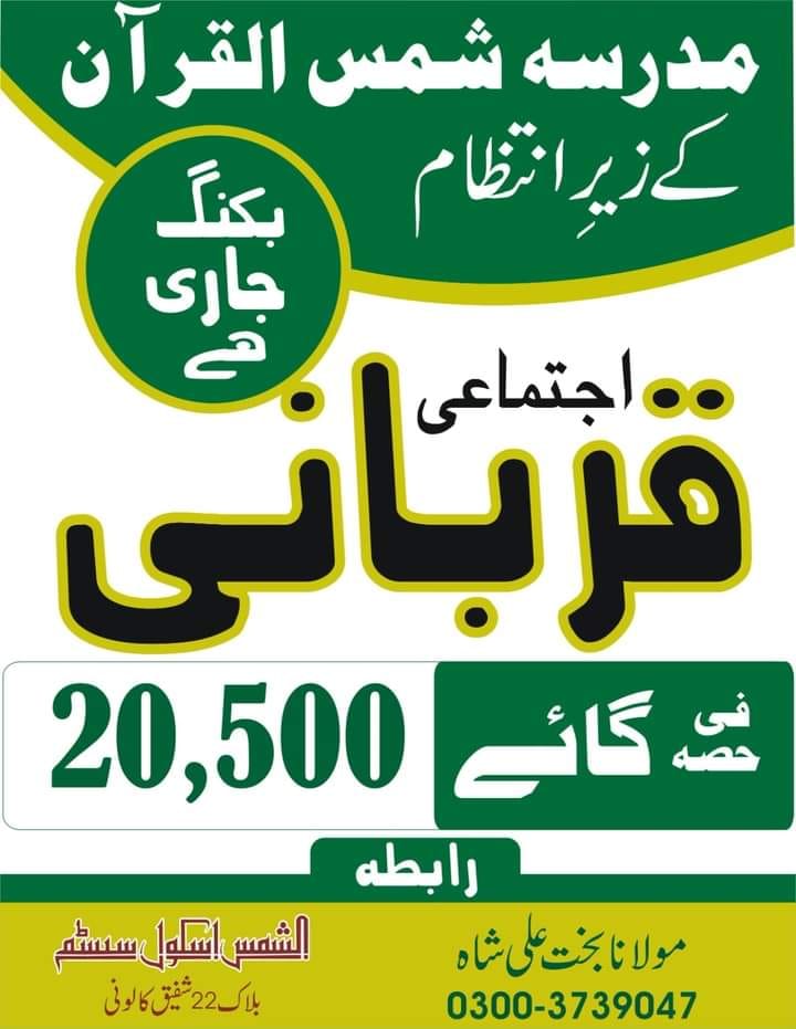 Person eating a gourmet meal